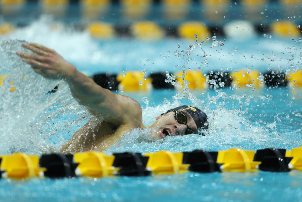 Iowa's Michael Tenney swims the 500 yard freestyle Thursday, November 15, 2018 during the 2018 Hawkeye Invitational at the Campus Recreation and Wellness Center. (Brian Ray/hawkeyesports.com)