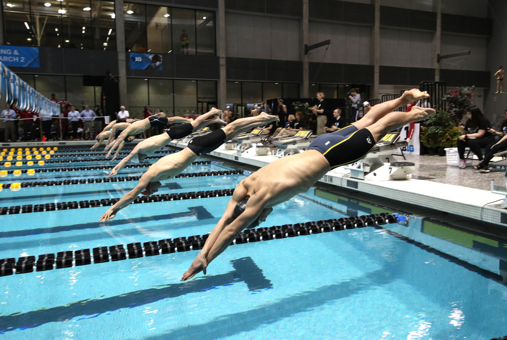 Iowa's Anze Fers Erzen swims the 200-yard IM during the bonus final of the second day at the 2019 Big Ten Swimming and Diving Championships Thursday, February 28, 2019 at the Campus Wellness and Recreation Center. (Brian Ray/hawkeyesports.com)
