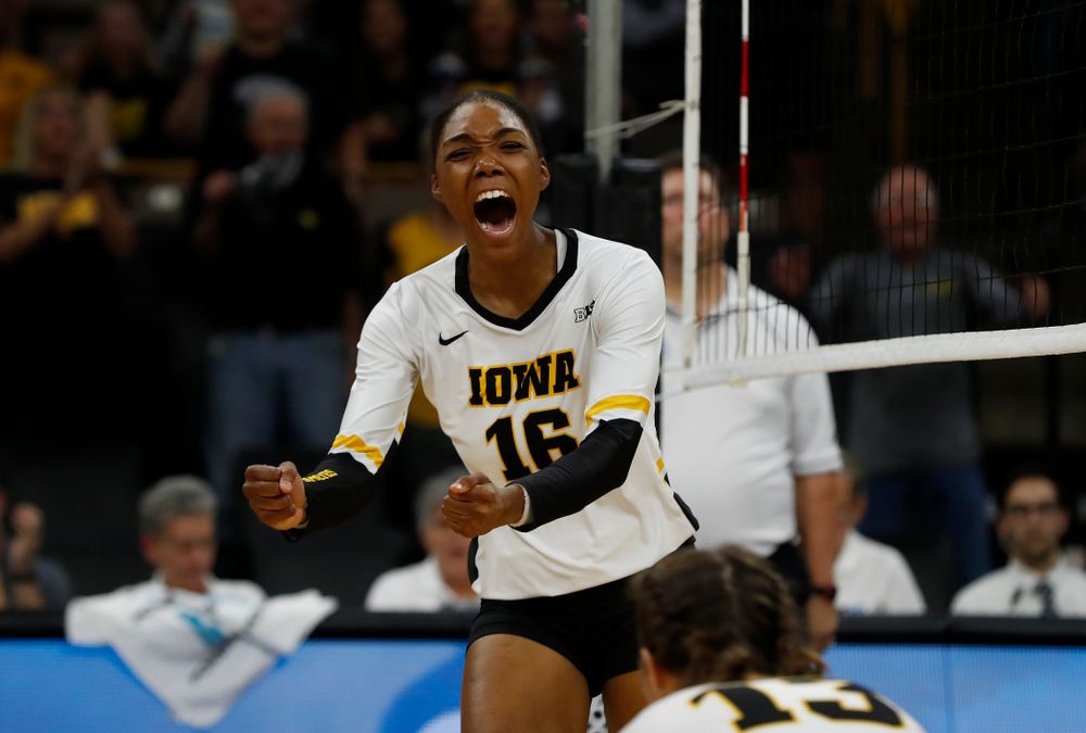 Iowa Hawkeyes outside hitter Taylor Louis (16) against the Michigan Wolverines Sunday, September 23, 2018 at Carver-Hawkeye Arena. (Brian Ray/hawkeyesports.com)