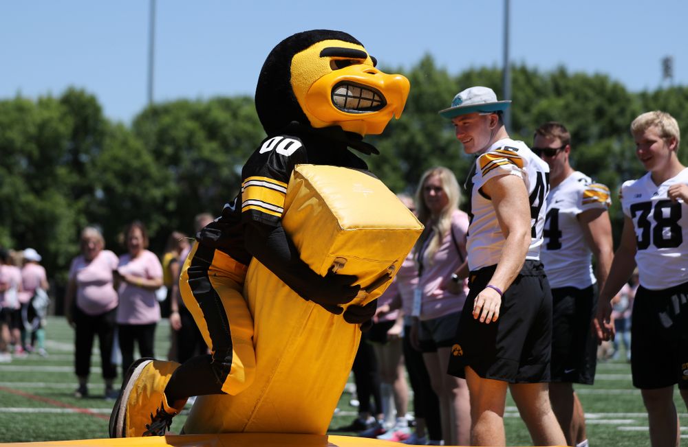 Herky the Hawk during the 2019 Iowa Ladies Football Academy Saturday, June 8, 2019 at the Hansen Football Performance Center. (Brian Ray/hawkeyesports.com)