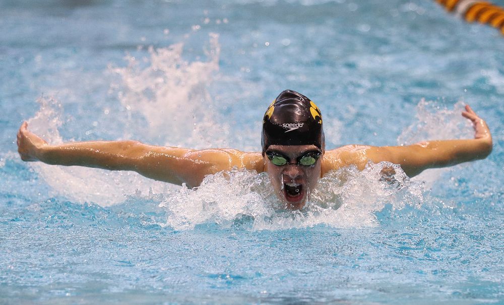 Iowa's Matjaz Rozman competes in the 200-yard butterfly during the third day of the Hawkeye Invitational at the Campus Recreation and Wellness Center on November 17, 2018. (Tork Mason/hawkeyesports.com)