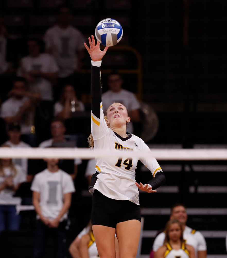 Iowa Hawkeyes outside hitter Cali Hoye (14) against the Michigan State Spartans Friday, September 21, 2018 at Carver-Hawkeye Arena. (Brian Ray/hawkeyesports.com)