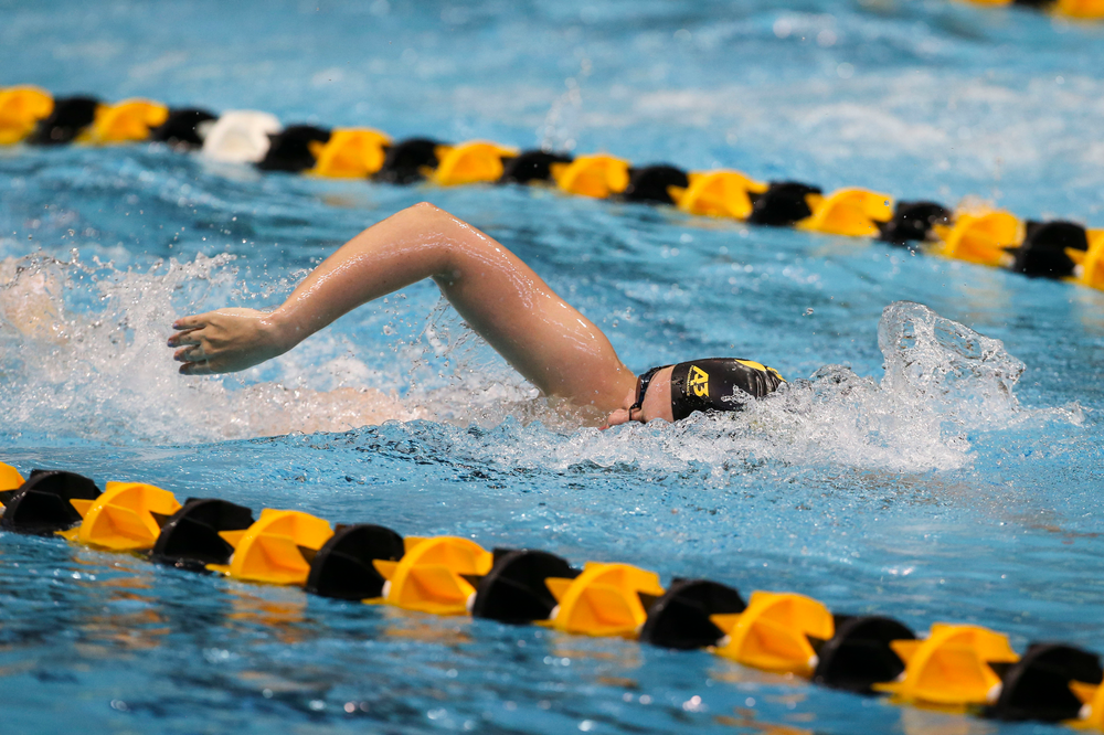 Iowa’s Macy Rink during Iowa swim and dive vs Minnesota on Saturday, October 26, 2019 at the Campus Wellness and Recreation Center. (Lily Smith/hawkeyesports.com)