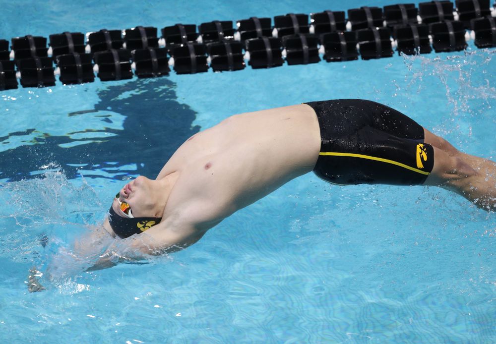 Iowa's Anze Fers Erzen competes in the 200-yard backstroke during the 2019 Big Ten Men's Swimming and Diving Championships Saturday, March 2, 2019 at the Campus Wellness and Recreation Center. (Brian Ray/hawkeyesports.com)