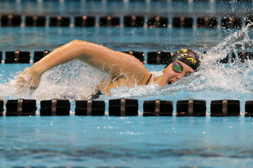 Iowa’s Payton Lange during Iowa swim and dive vs Minnesota on Saturday, October 26, 2019 at the Campus Wellness and Recreation Center. (Lily Smith/hawkeyesports.com)