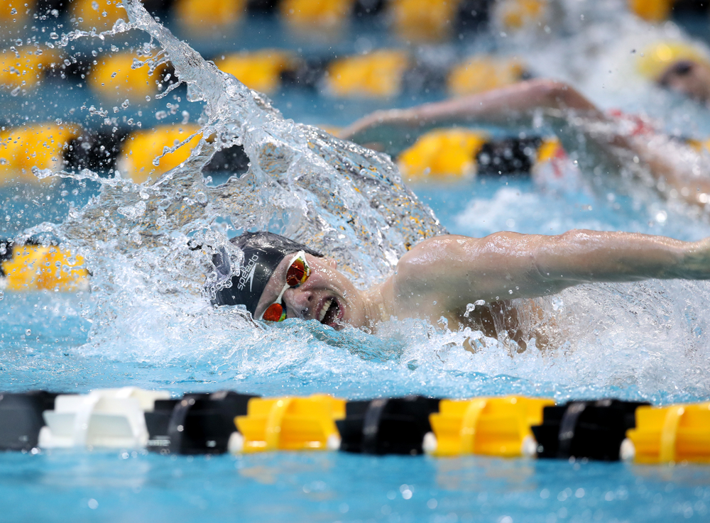 Iowa's Anze Fers Erzen swims in the preliminaries of the 200-yard IM during the 2019 Big Ten Swimming and Diving Championships Thursday, February 28, 2019 at the Campus Wellness and Recreation Center. (Brian Ray/hawkeyesports.com)