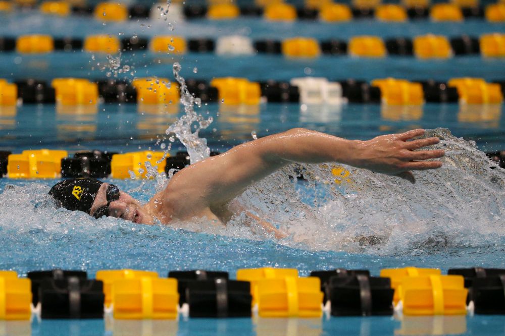 Iowa's B team at the 1,650-yard freestyle race Saturday, March 2, 2019 at the Campus Recreation and Wellness Center. (Lily Smith/hawkeyesports.com)