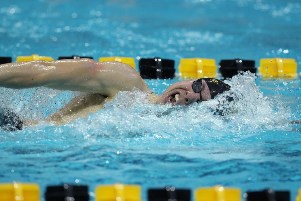 Iowa's Mateusz Arndt swims the 500 yard freestyle Thursday, November 15, 2018 during the 2018 Hawkeye Invitational at the Campus Recreation and Wellness Center. (Brian Ray/hawkeyesports.com)
