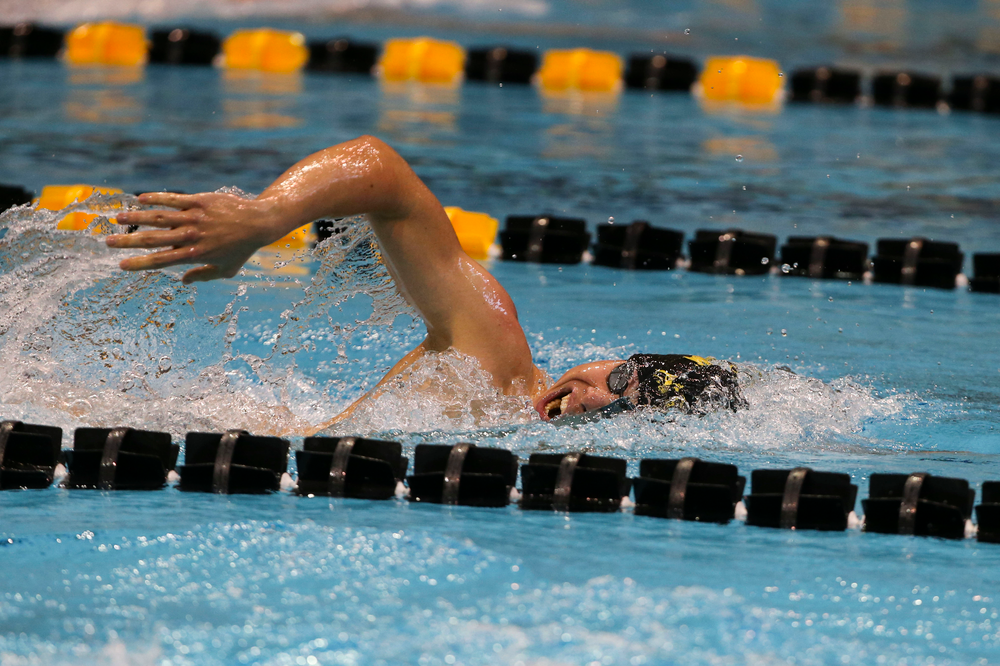 Iowa’s Mateusz Arndt during Iowa swim and dive vs Minnesota on Saturday, October 26, 2019 at the Campus Wellness and Recreation Center. (Lily Smith/hawkeyesports.com)