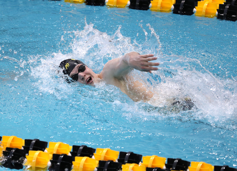Iowa's Ben Colin swims in the preliminaries of the 500-yard freestyle during the 2019 Big Ten Swimming and Diving Championships Thursday, February 28, 2019 at the Campus Wellness and Recreation Center. (Brian Ray/hawkeyesports.com)