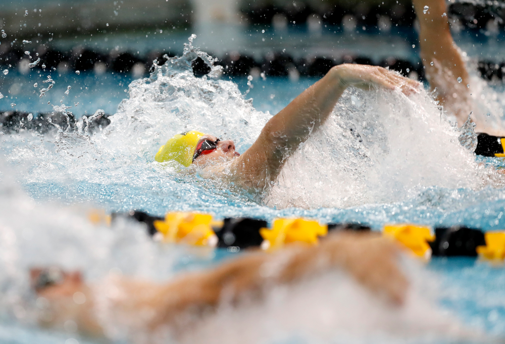 Anze Fers Erzen swims the 200 yard IM during the Black and Gold Intrasquad Saturday, September 29, 2018 at the Campus Recreation and Wellness Center. (Brian Ray/hawkeyesports.com)