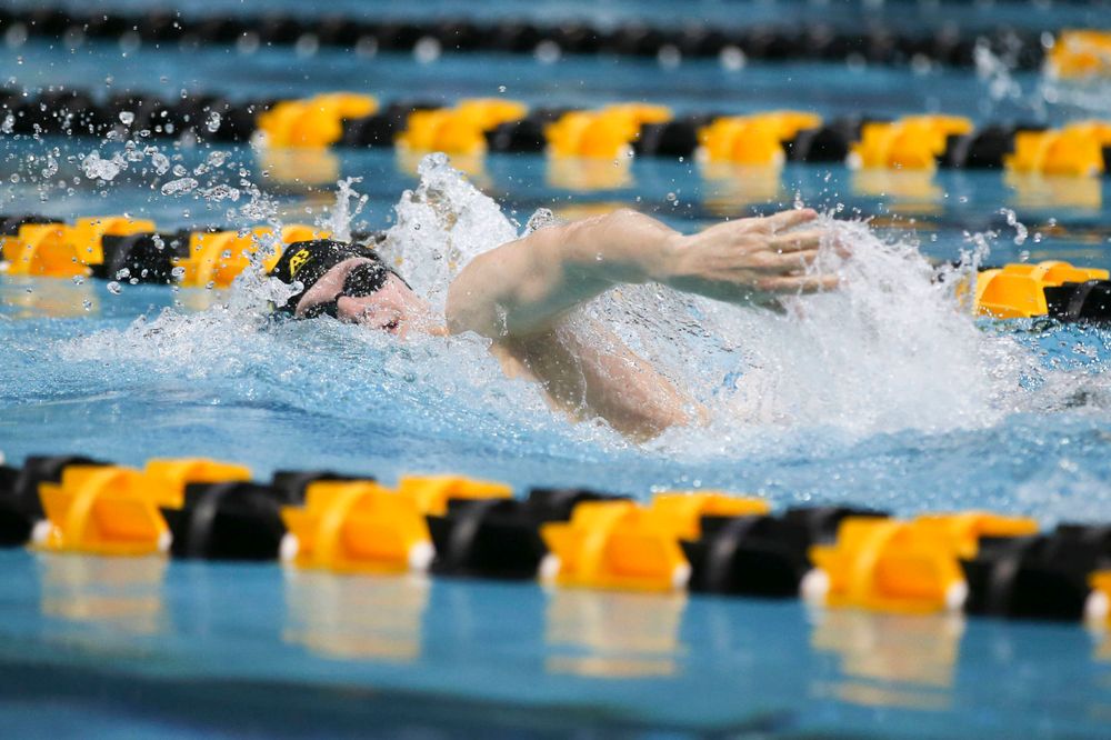 Iowa's B team at the 1,650-yard freestyle race Saturday, March 2, 2019 at the Campus Recreation and Wellness Center. (Lily Smith/hawkeyesports.com)