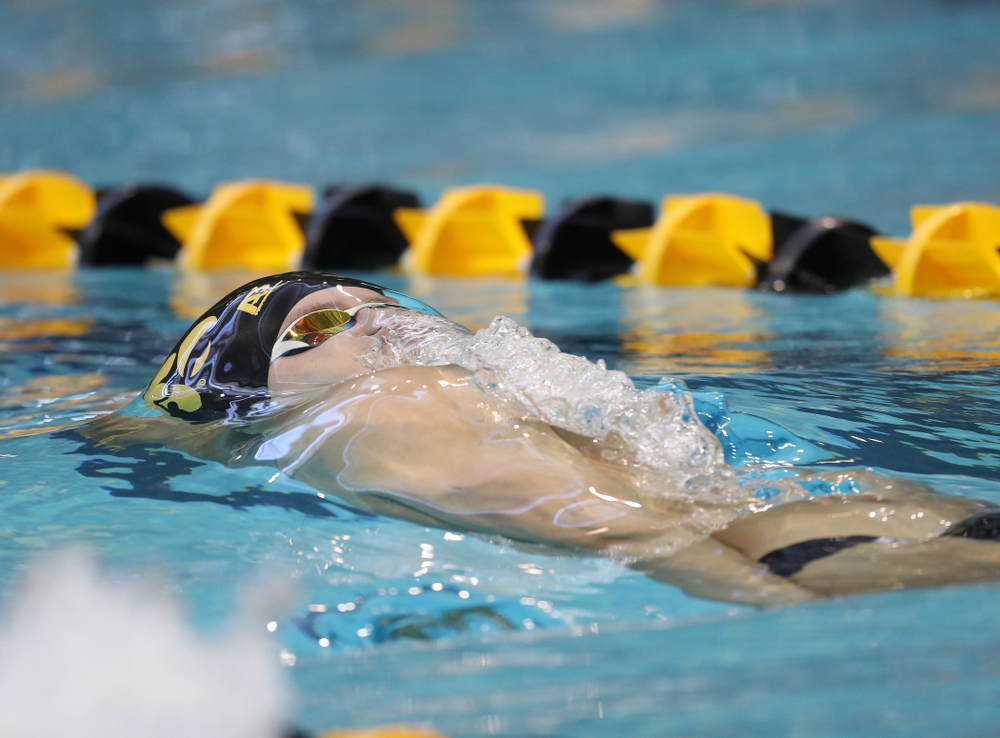 Iowa's Anze Fers Erzen swims the 100 yard backstroke during a double dual against Wisconsin and Northwestern Saturday, January 19, 2019 at the Campus Recreation and Wellness Center. (Brian Ray/hawkeyesports.com)