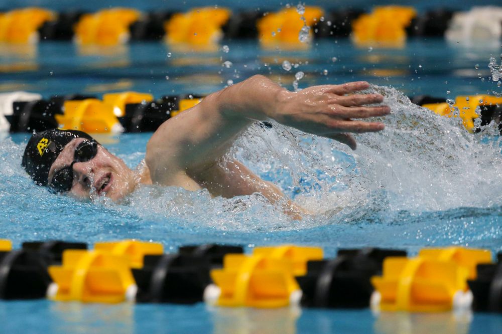 Iowa's B team at the 1,650-yard freestyle race Saturday, March 2, 2019 at the Campus Recreation and Wellness Center. (Lily Smith/hawkeyesports.com)