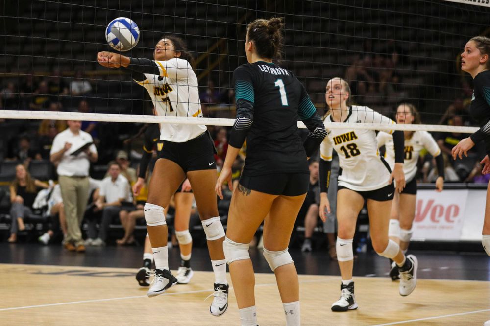 Iowa Hawkeyes setter Brie Orr (7) against Coastal Carolina Friday, September 20, 2019 at Carver-Hawkeye Arena. (Lily Smith/hawkeyesports.com)