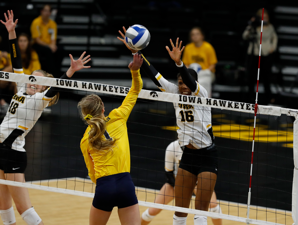 Iowa Hawkeyes outside hitter Taylor Louis (16) against the Michigan Wolverines Sunday, September 23, 2018 at Carver-Hawkeye Arena. (Brian Ray/hawkeyesports.com)