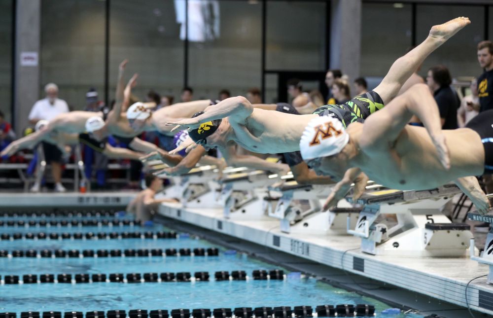 Iowa's Michael Brzus swims the 50 yard freestyle Thursday, November 15, 2018 during the 2018 Hawkeye Invitational at the Campus Recreation and Wellness Center. (Brian Ray/hawkeyesports.com)