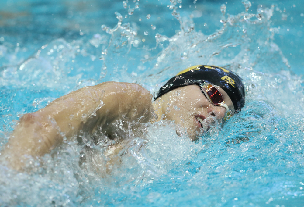 Iowa's Andrew Fierke swims the 500 yard freestyle Thursday, November 15, 2018 during the 2018 Hawkeye Invitational at the Campus Recreation and Wellness Center. (Brian Ray/hawkeyesports.com)