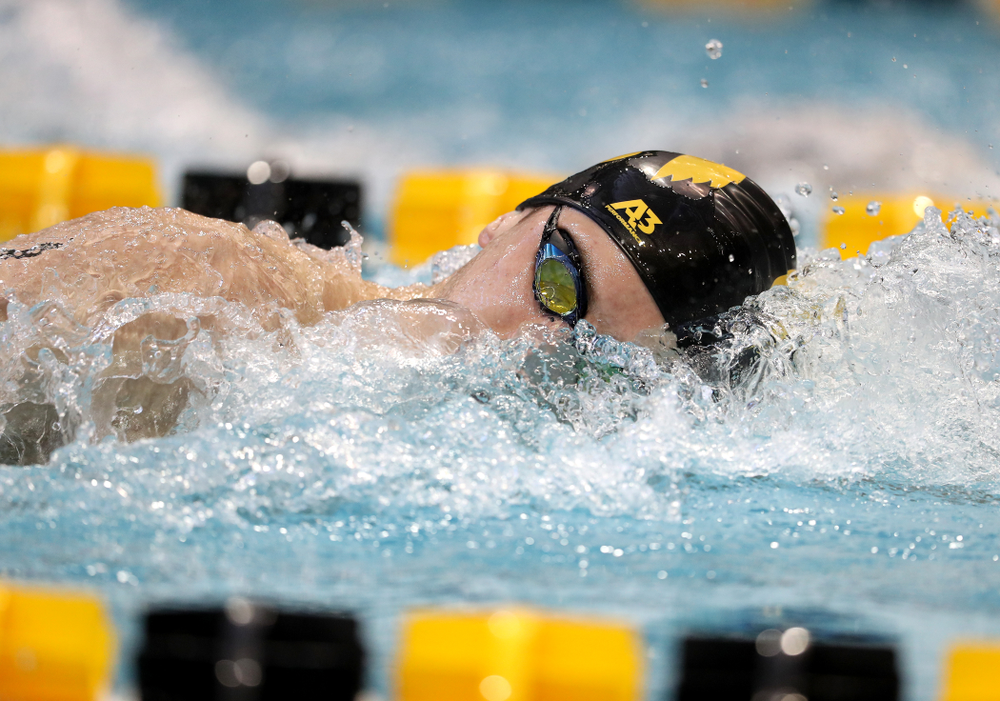 Iowa's Aleksey Tarasenko swims the 200 yard freestyle during a double dual against Wisconsin and Northwestern Saturday, January 19, 2019 at the Campus Recreation and Wellness Center. (Brian Ray/hawkeyesports.com)