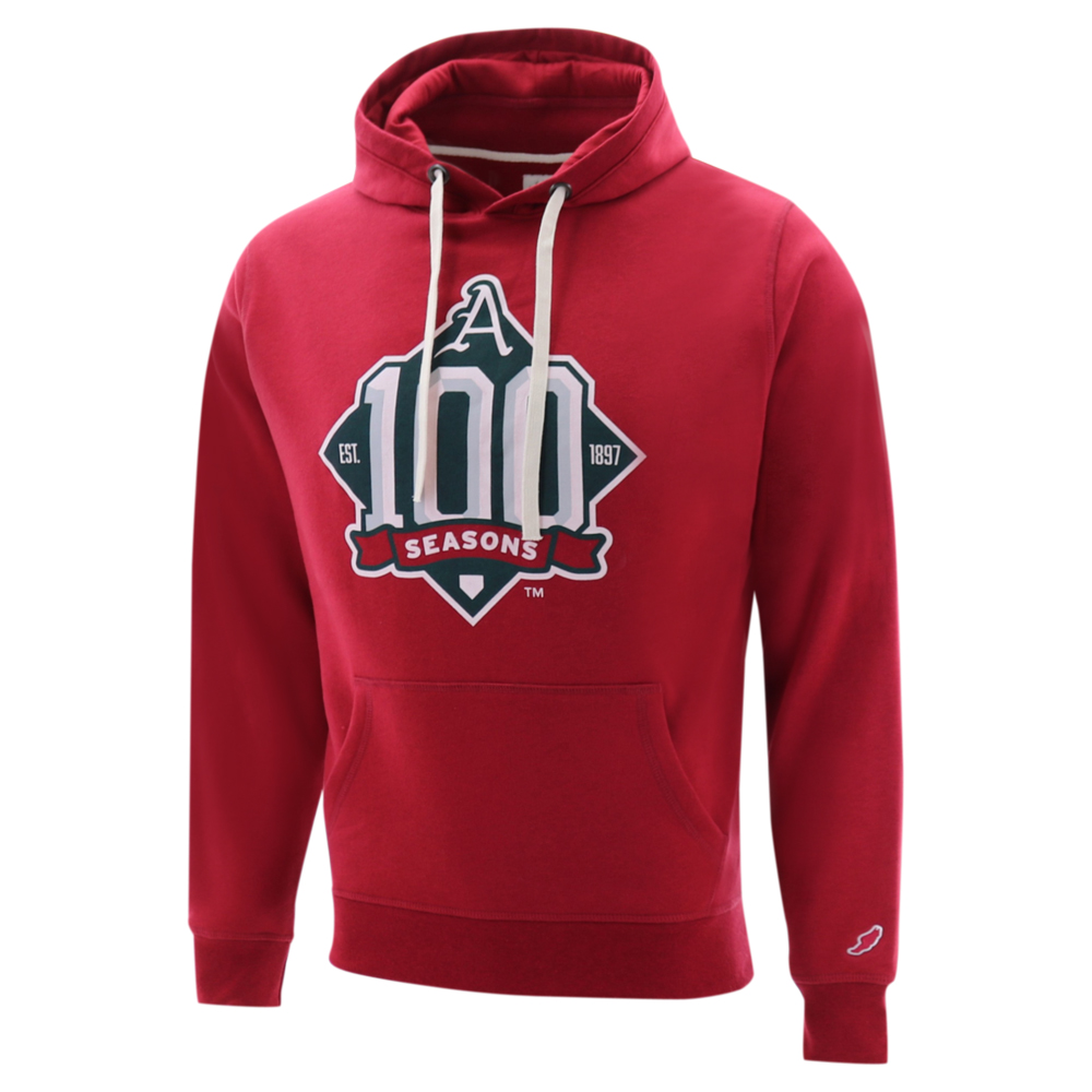 Arkansas Razorbacks 100 Seasons Stadium Hood - Arkansas ...