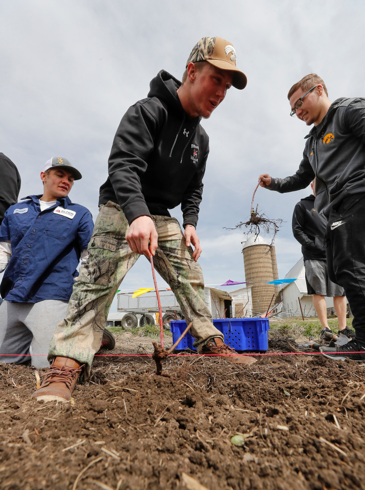 Members of the Iowa Wrestling Team volunteer during the Iowa Athletics Department's annual Day of Caring Sunday, April 22, 2018. (Brian Ray/hawkeyesports.com)