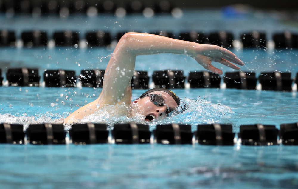 IowaÕs Taylor Hartley swims the 1,000 yard freestyle agains the Michigan Wolverines Friday, November 1, 2019 at the Campus Recreation and Wellness Center. (Brian Ray/hawkeyesports.com)