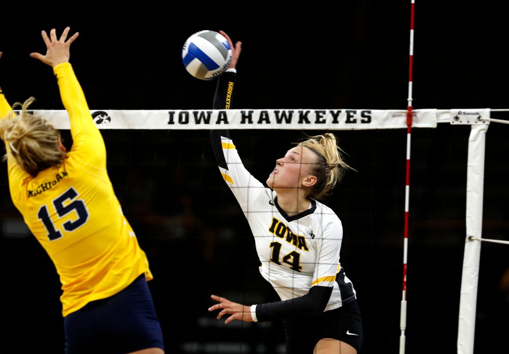 Iowa Hawkeyes outside hitter Cali Hoye (14) against the Michigan Wolverines Sunday, September 23, 2018 at Carver-Hawkeye Arena. (Brian Ray/hawkeyesports.com)