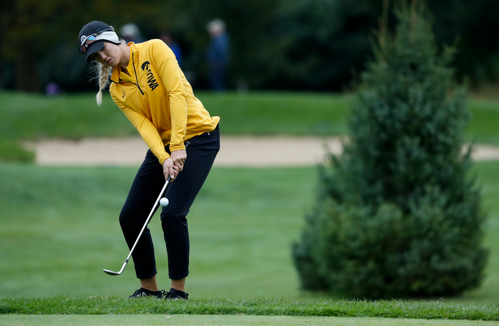 Iowa's Shawn Rennegarbe chips onto the green during the Diane Thomason Invitational at Finkbine Golf Course on September 29, 2018. (Tork Mason/hawkeyesports.com)