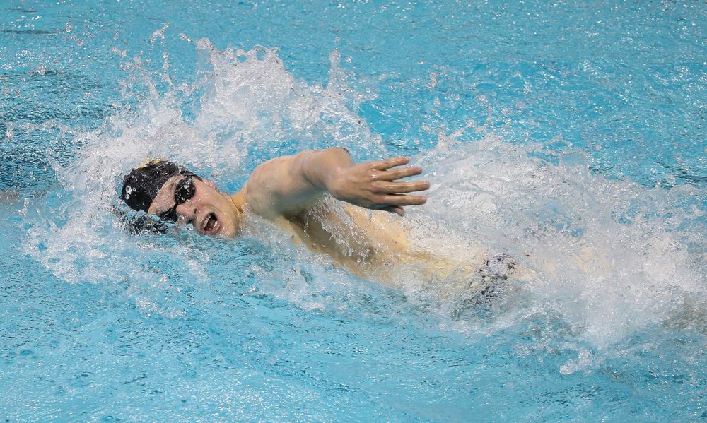 Iowa's Ben Colin competes in the 500-yard freestyle during a meet against Michigan and Denver at the Campus Recreation and Wellness Center on November 3, 2018. (Tork Mason/hawkeyesports.com)