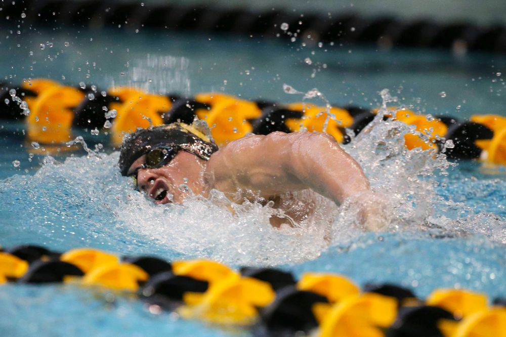 Iowa's Anze Fers Erzan team at the 200-yard backstroke race Saturday, March 2, 2019 at the Campus Recreation and Wellness Center. (Lily Smith/hawkeyesports.com)
