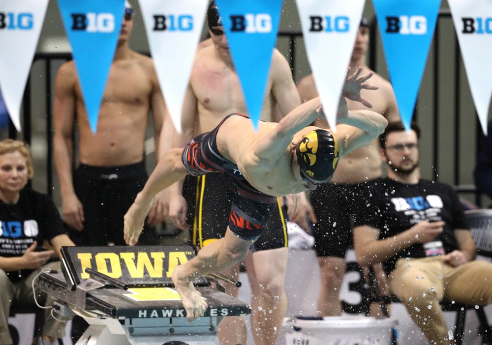 Iowa's Daniel Swanepoel swims the breaststroke leg of the 200 medley relay at the 2019 Big Ten Swimming and Diving meet Wednesday, February 27, 2019 at the Campus Wellness and Recreation Center. (Brian Ray/hawkeyesports.com)