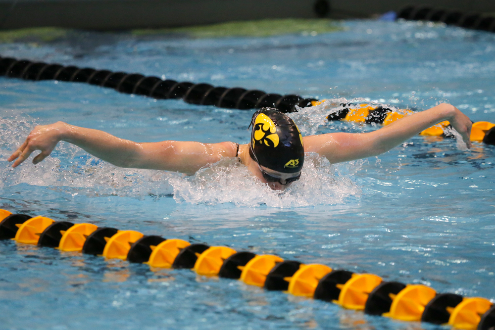 Sage Ohlesehlen during Iowa women’s swimming and diving vs Rutgers on Friday, November 8, 2019 at the Campus Wellness and Recreation Center. (Lily Smith/hawkeyesports.com)