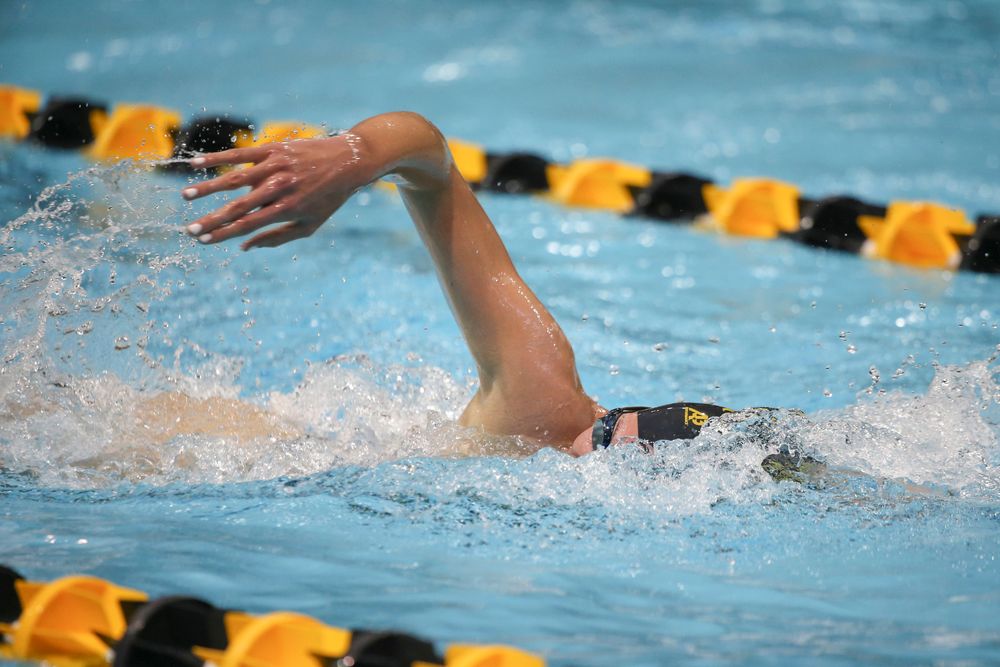 Iowa’s Alyssa Fluit swims the 500-yard freestyle during the Iowa swimming and diving meet vs Notre Dame and Illinois on Saturday, January 11, 2020 at the Campus Recreation and Wellness Center. (Lily Smith/hawkeyesports.com)