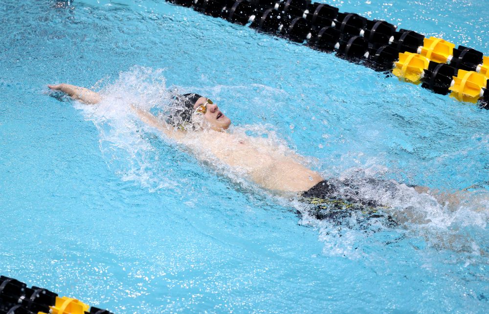 Iowa's Anze Fers Erzen competes in the 200-yard backstroke during the 2019 Big Ten Men's Swimming and Diving Championships Saturday, March 2, 2019 at the Campus Wellness and Recreation Center. (Brian Ray/hawkeyesports.com)