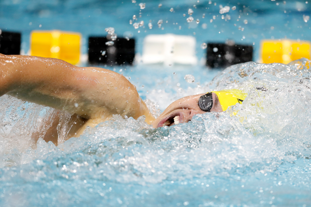 Matt Arndt swims the 200 yard freestyle during the Black and Gold Intrasquad Saturday, September 29, 2018 at the Campus Recreation and Wellness Center. (Brian Ray/hawkeyesports.com)