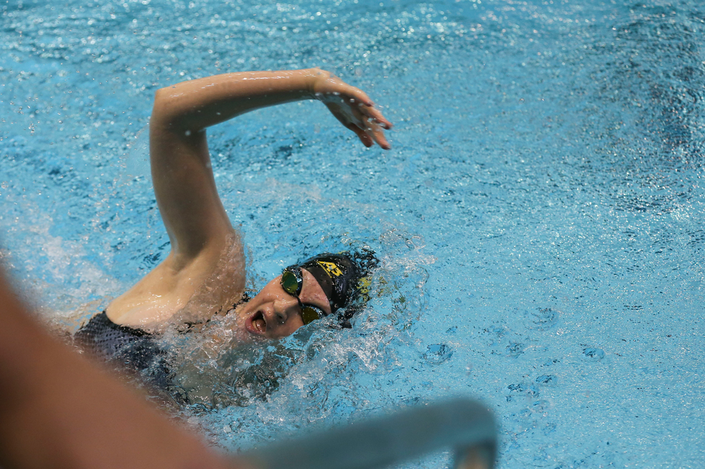 Iowa’s Erin Lang during Iowa swim and dive vs Minnesota on Saturday, October 26, 2019 at the Campus Wellness and Recreation Center. (Lily Smith/hawkeyesports.com)