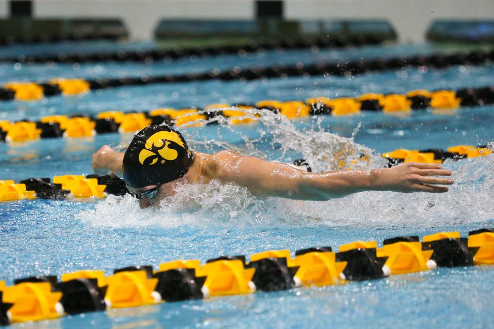 Iowa's Michael Tenney at the 200-yard butterfly race Saturday, March 2, 2019 at the Campus Recreation and Wellness Center. (Lily Smith/hawkeyesports.com)
