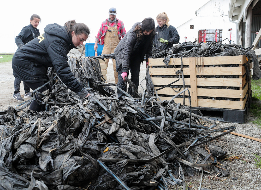 Iowa soccer players work at Grow: Johnson County at the Johnson County Historic Poor Farm during the 21st annual ISAAC Hawkeye Day of Caring in Iowa City on Sunday, Apr. 28, 2019. (Stephen Mally/hawkeyesports.com)