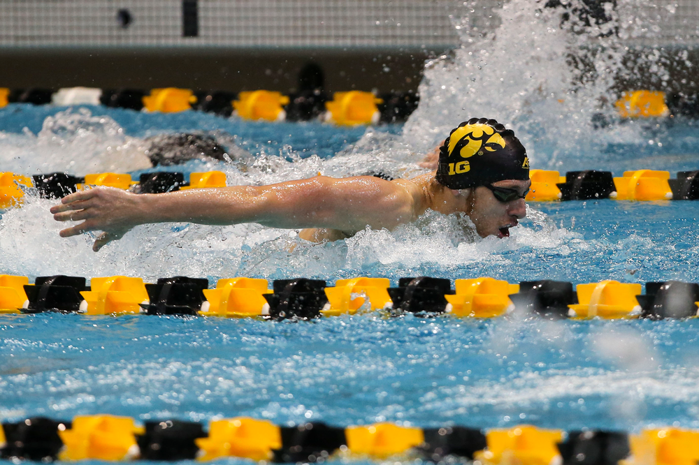 Iowa’s Dolan Craine during Iowa swim and dive vs Minnesota on Saturday, October 26, 2019 at the Campus Wellness and Recreation Center. (Lily Smith/hawkeyesports.com)