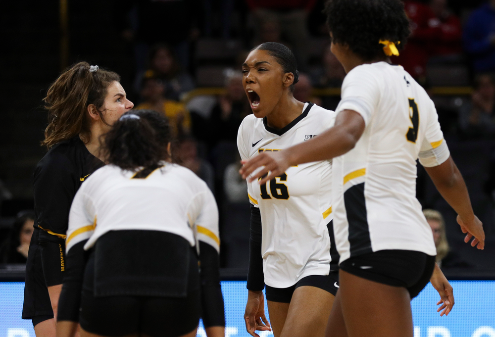 Iowa Hawkeyes outside hitter Taylor Louis (16) celebrates after winning a point during a match against Nebraska at Carver-Hawkeye Arena on November 7, 2018. (Tork Mason/hawkeyesports.com)