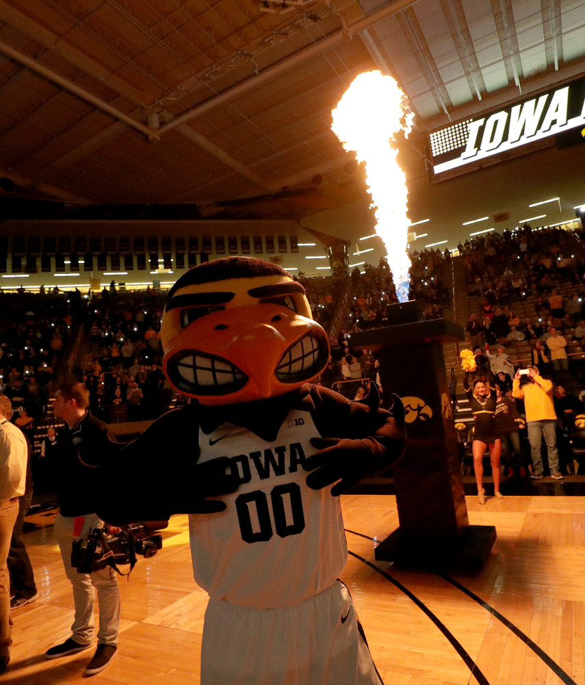 Herky The Hawk against the Maryland Terrapins Friday, January 10, 2020 at Carver-Hawkeye Arena. (Brian Ray/hawkeyesports.com)
