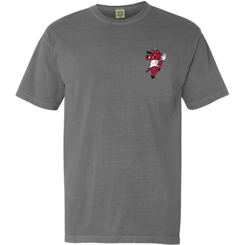 Official Arkansas Razorbacks Pitching 