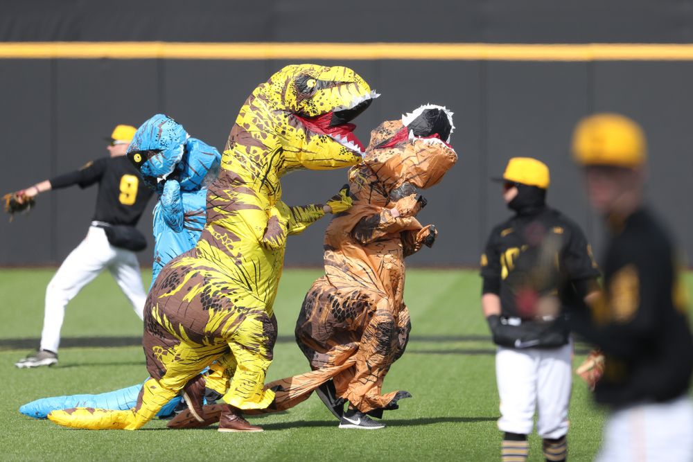 The Iowa Baseball T-Rex Race against California State Northridge Sunday, March 17, 2019 at Duane Banks Field. (Brian Ray/hawkeyesports.com)