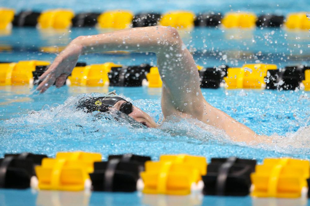 Iowa's B team at the 1,650-yard freestyle race Saturday, March 2, 2019 at the Campus Recreation and Wellness Center. (Lily Smith/hawkeyesports.com)