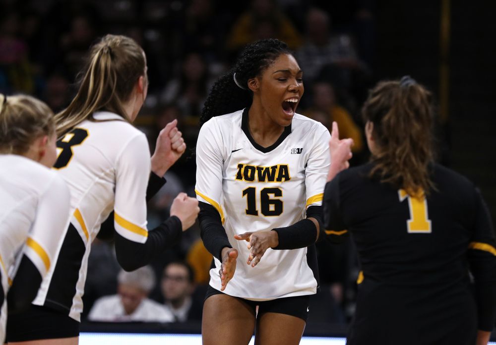 Iowa Hawkeyes outside hitter Taylor Louis (16) against the Ohio State Buckeyes Saturday, November 24, 2018 at Carver-Hawkeye Arena. (Brian Ray/hawkeyesports.com)