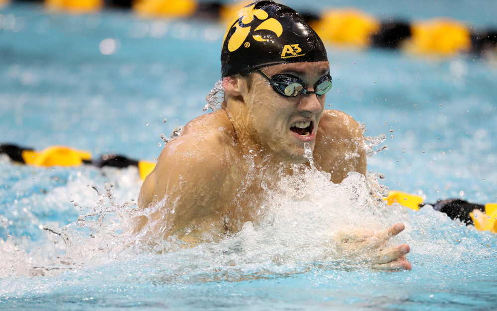 Iowa's Daniel Swanepoel swims the breaststroke leg of the 200 yard medley relay during a double dual against Wisconsin and Northwestern Saturday, January 19, 2019 at the Campus Recreation and Wellness Center. (Brian Ray/hawkeyesports.com)