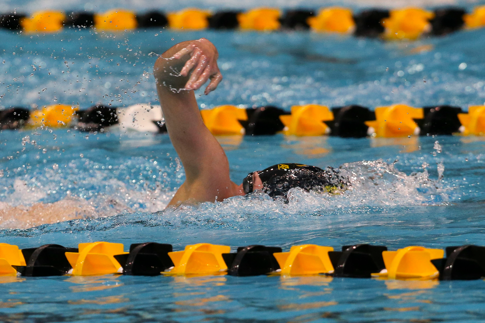 Iowa’s Allyssa Fluit during Iowa swim and dive vs Minnesota on Saturday, October 26, 2019 at the Campus Wellness and Recreation Center. (Lily Smith/hawkeyesports.com)