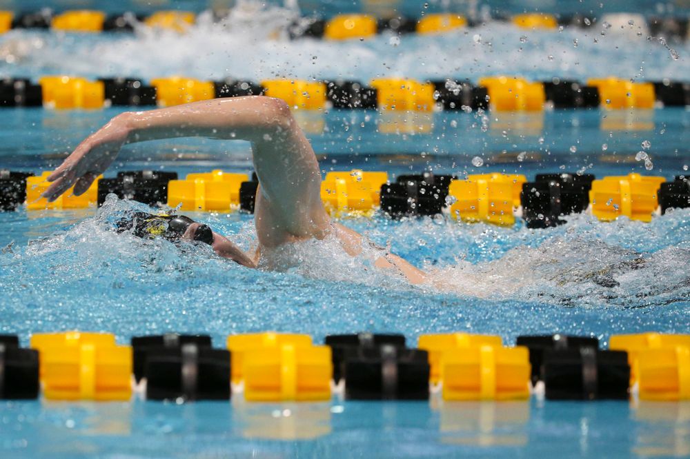 Iowa's B team at the 1,650-yard freestyle race Saturday, March 2, 2019 at the Campus Recreation and Wellness Center. (Lily Smith/hawkeyesports.com)