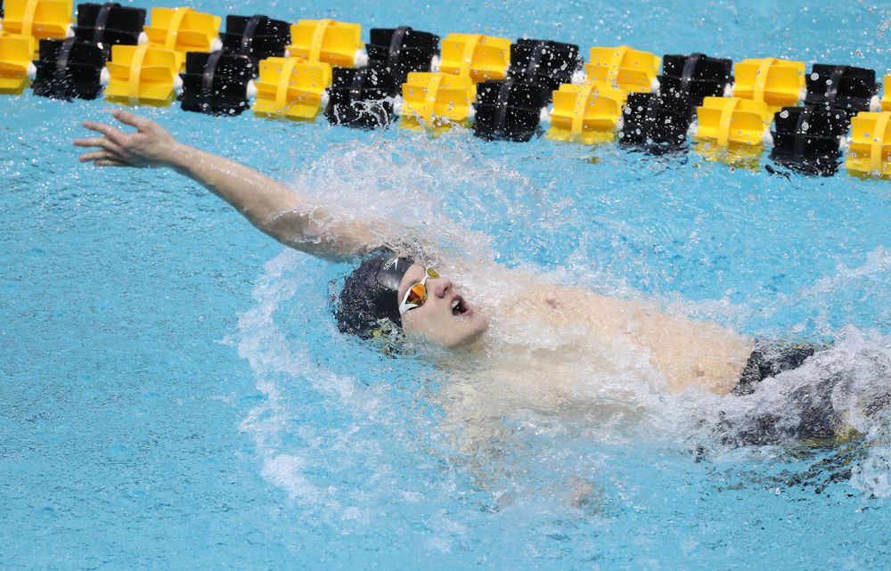 Iowa's Anze Fers Erzen competes in the 200-yard backstroke during the 2019 Big Ten Men's Swimming and Diving Championships Saturday, March 2, 2019 at the Campus Wellness and Recreation Center. (Brian Ray/hawkeyesports.com)