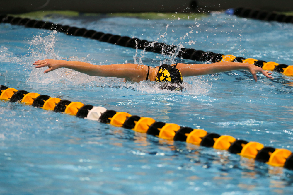Iowa’s Christina Kaufman during Iowa swim and dive vs Minnesota on Saturday, October 26, 2019 at the Campus Wellness and Recreation Center. (Lily Smith/hawkeyesports.com)